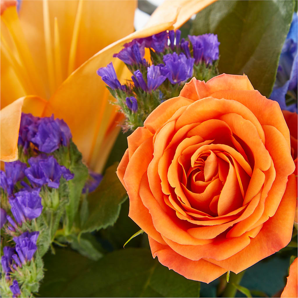 Radiant Citrus Box Bouquet – CARLOS BLOOMS & EVENTS, Garnerville NY