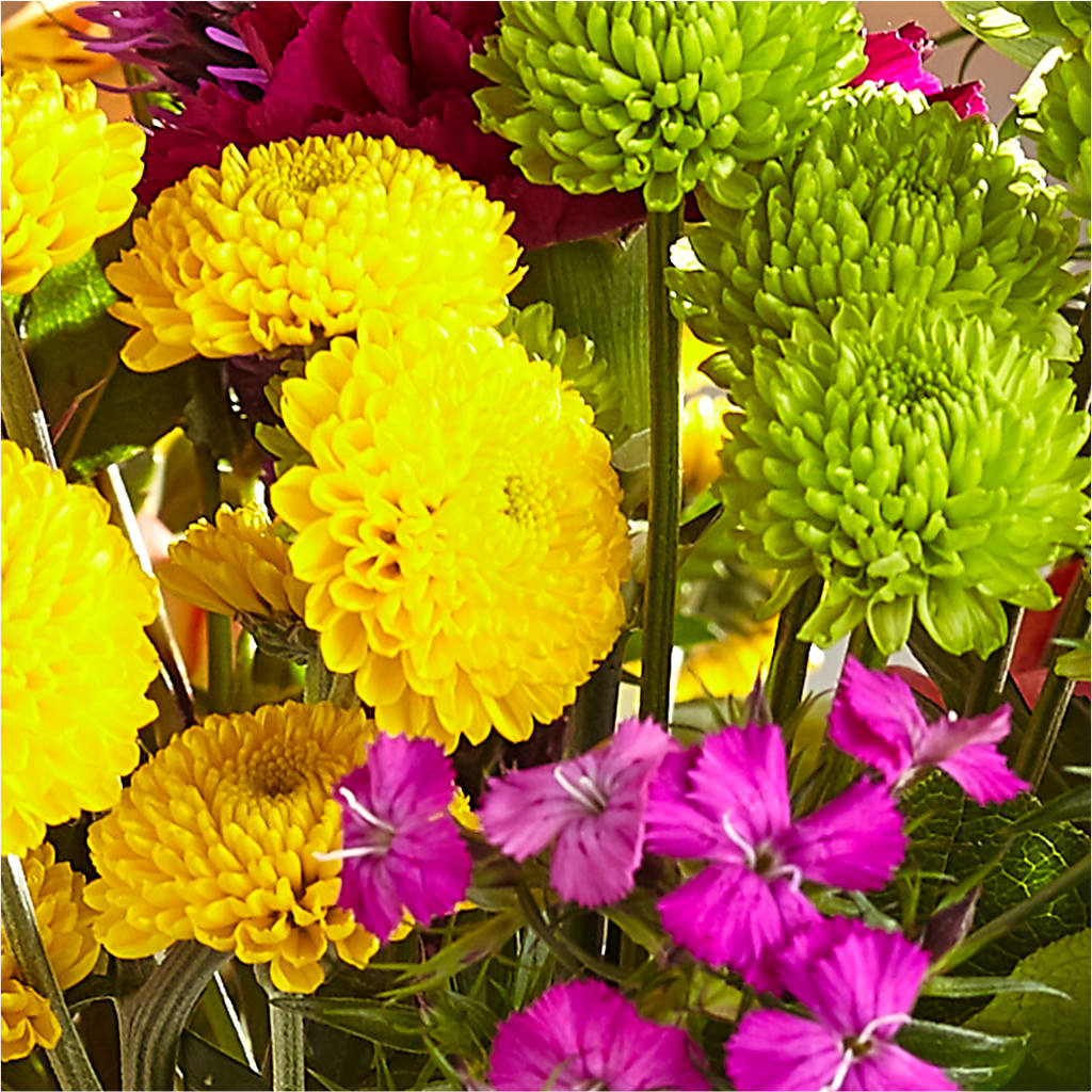 Bold & Bright – A Florist Original – CARLOS BLOOMS & EVENTS, Garnerville NY