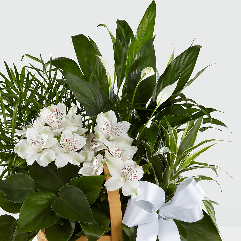 Peace & Serenity Dishgarden – CARLOS BLOOMS & EVENTS, Garnerville NY