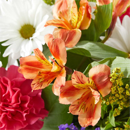 Oopsie Daisy Box Bouquet – CARLOS BLOOMS & EVENTS, Garnerville NY