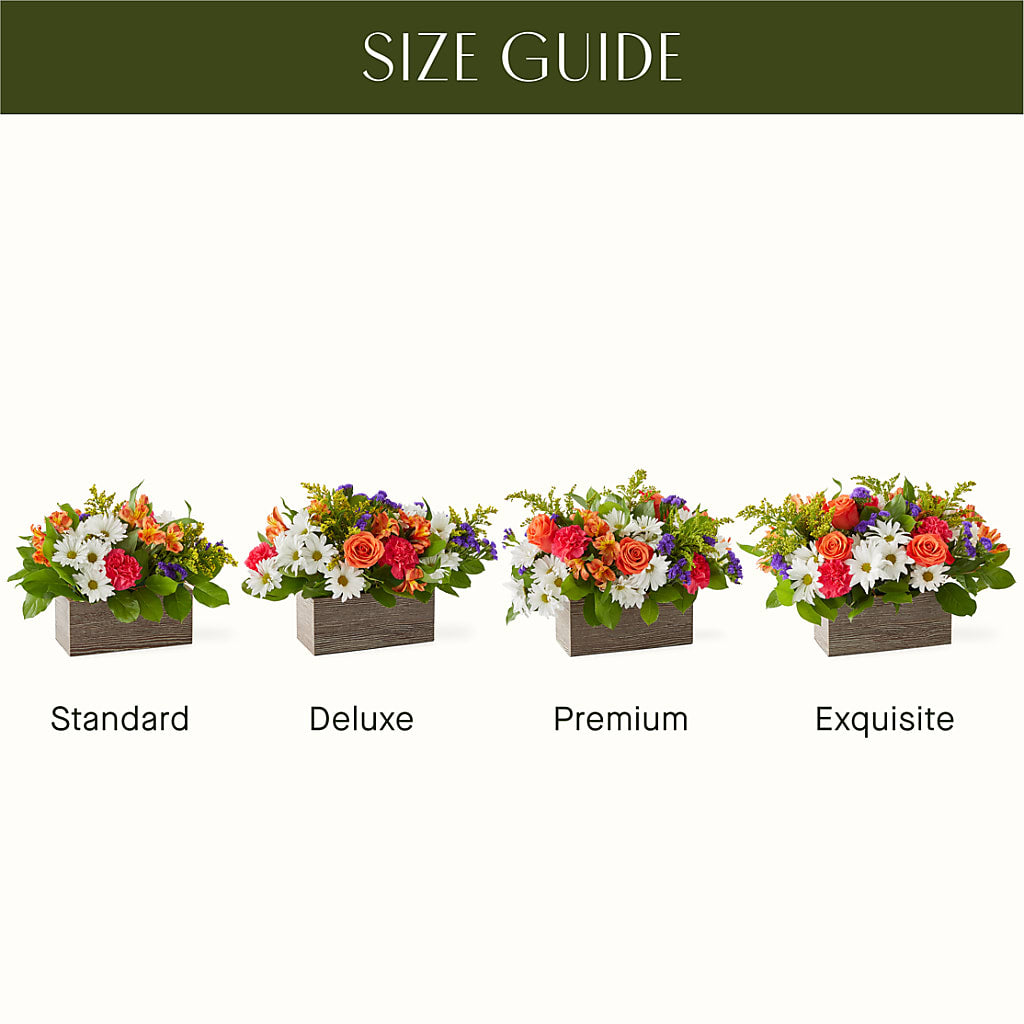 Oopsie Daisy Box Bouquet – CARLOS BLOOMS & EVENTS, Garnerville NY
