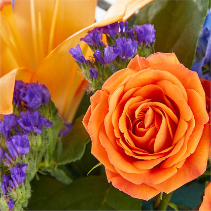 Radiant Citrus Box Bouquet – CARLOS BLOOMS & EVENTS, Garnerville NY