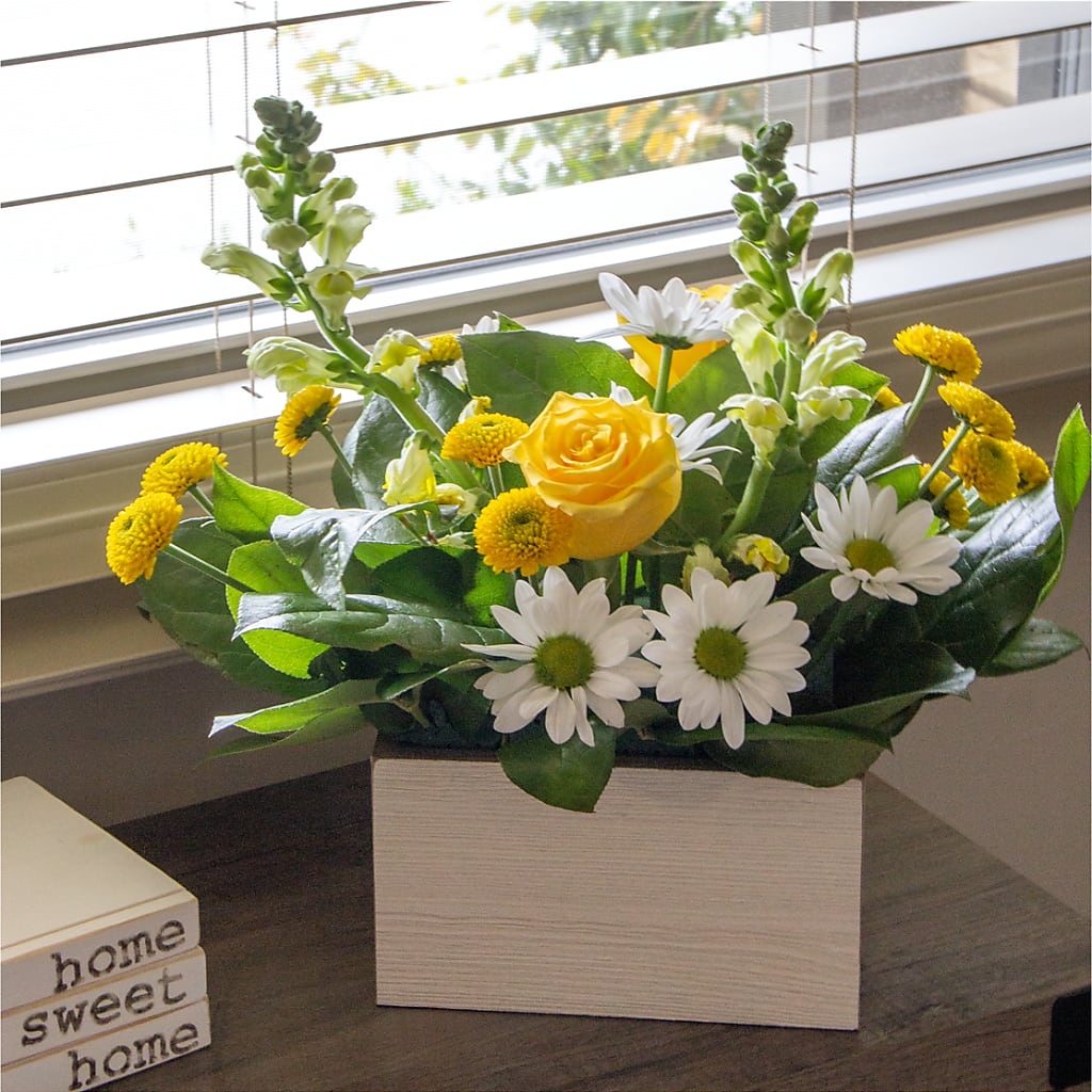 Sun Salutation Box Bouquet – CARLOS BLOOMS & EVENTS, Garnerville NY