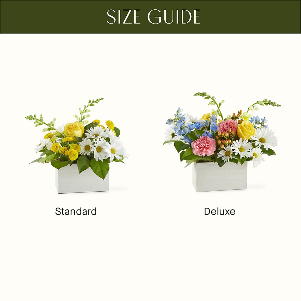 Sun Salutation Box Bouquet – CARLOS BLOOMS & EVENTS, Garnerville NY