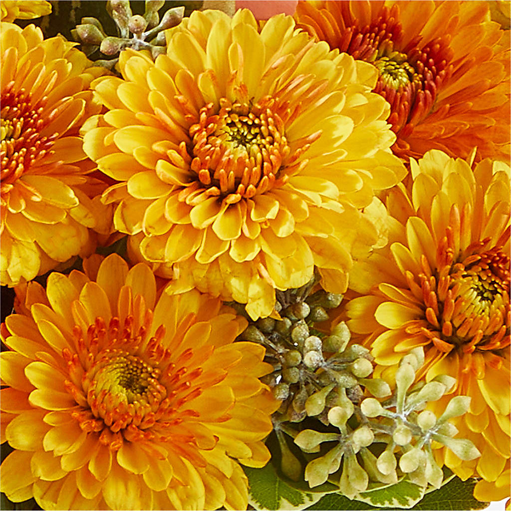 Peachy Pumpkin – CARLOS BLOOMS & EVENTS, Garnerville NY