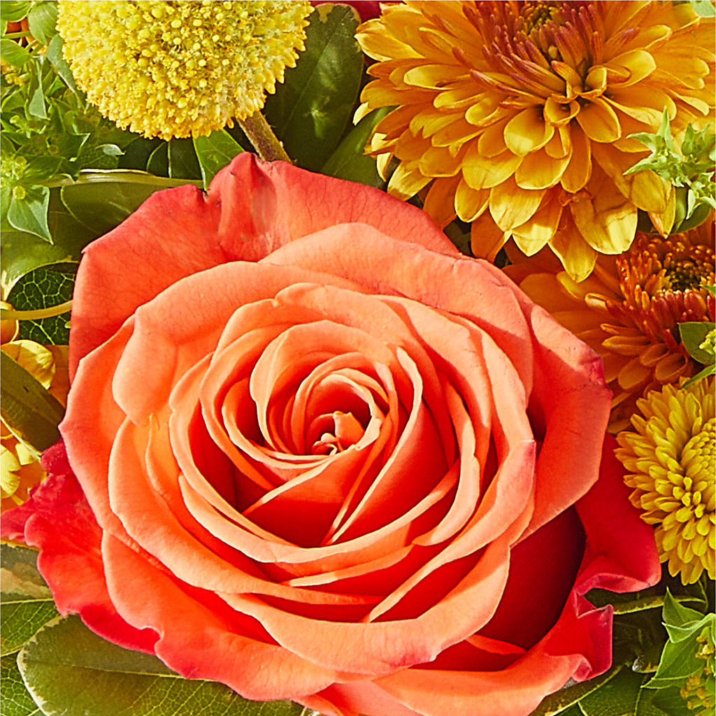 Gourdgeous Pumpkin – CARLOS BLOOMS & EVENTS, Garnerville NY