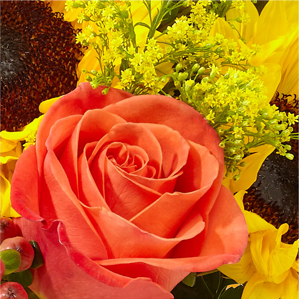 Pick of the Patch Pumpkin Bouquet – CARLOS BLOOMS & EVENTS, Garnerville NY