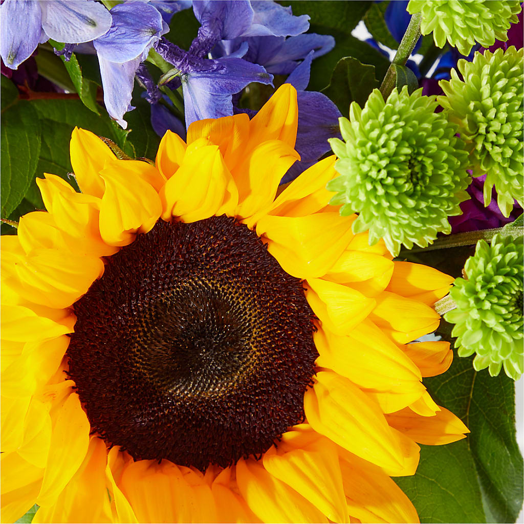 Catching Rays Bouquet – CARLOS BLOOMS & EVENTS, Garnerville NY