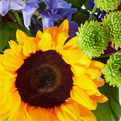 Catching Rays Bouquet – CARLOS BLOOMS & EVENTS, Garnerville NY