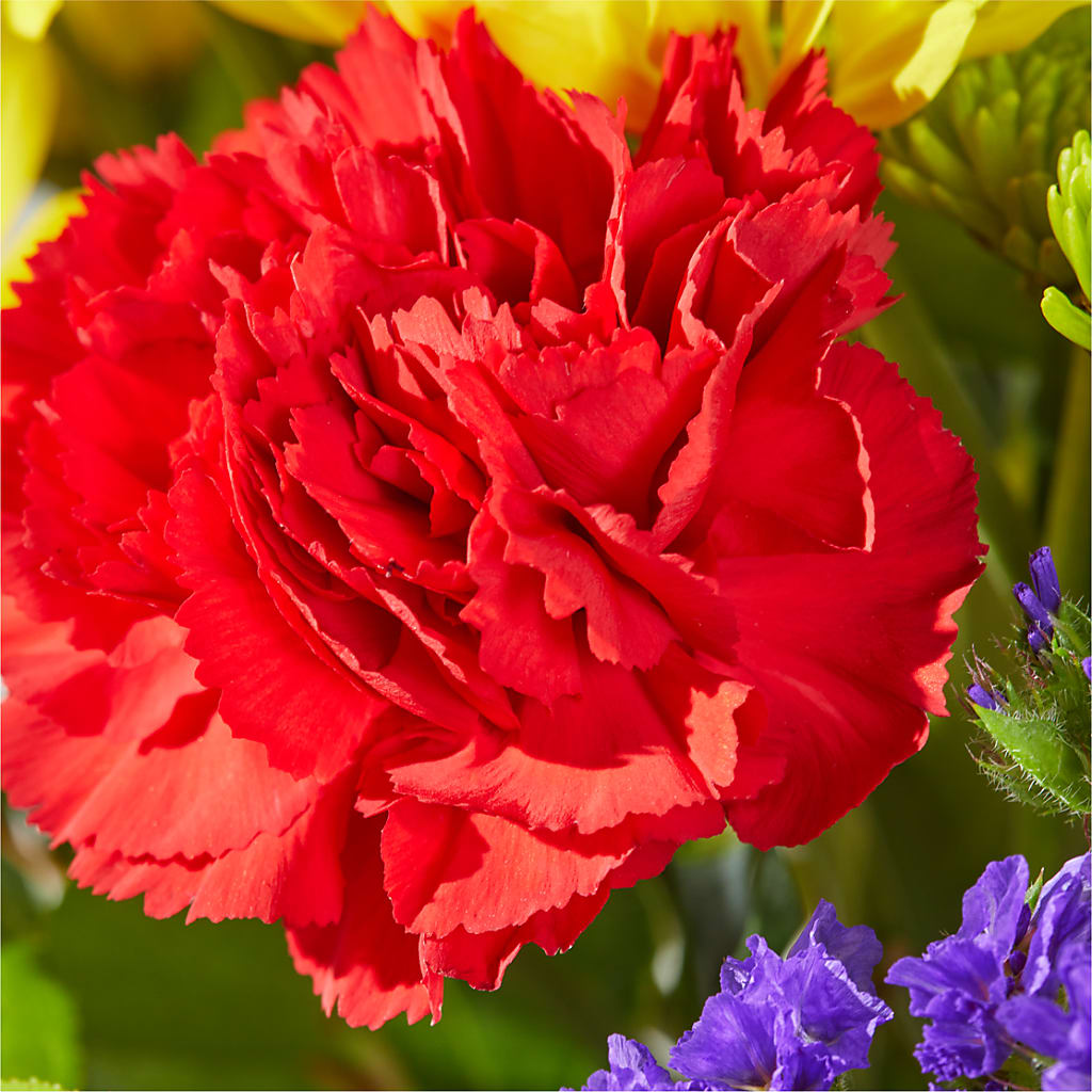 Brighter Days Bouquet – CARLOS BLOOMS & EVENTS, Garnerville NY