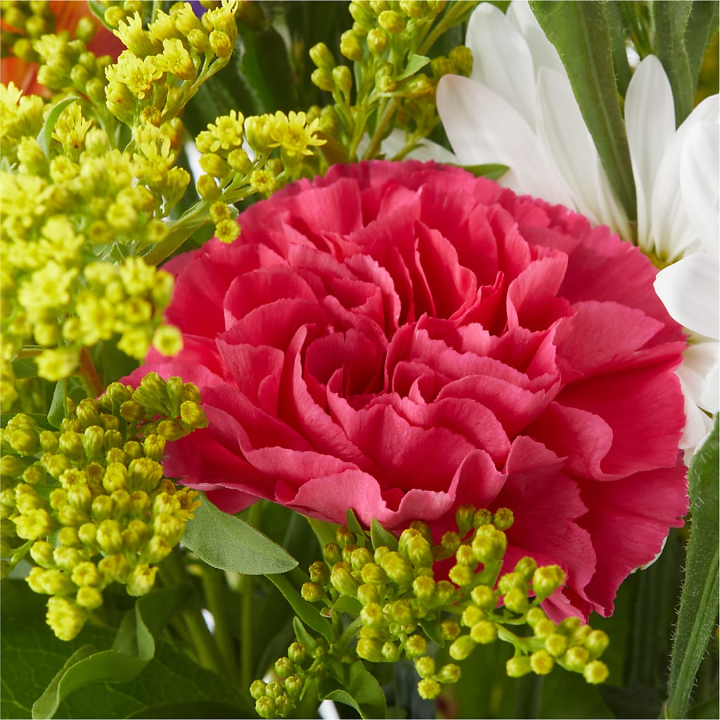 Oopsie Daisy Bouquet – CARLOS BLOOMS & EVENTS, Garnerville NY