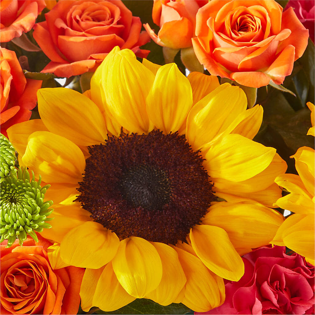 Sun-drenched Blooms Box Bouquet – CARLOS BLOOMS & EVENTS, Garnerville NY