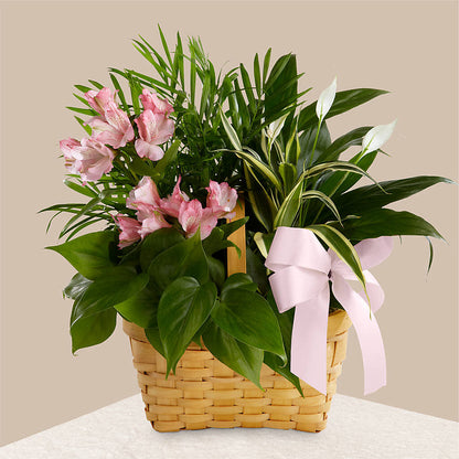Living Spirit Dishgarden – CARLOS BLOOMS & EVENTS, Garnerville NY