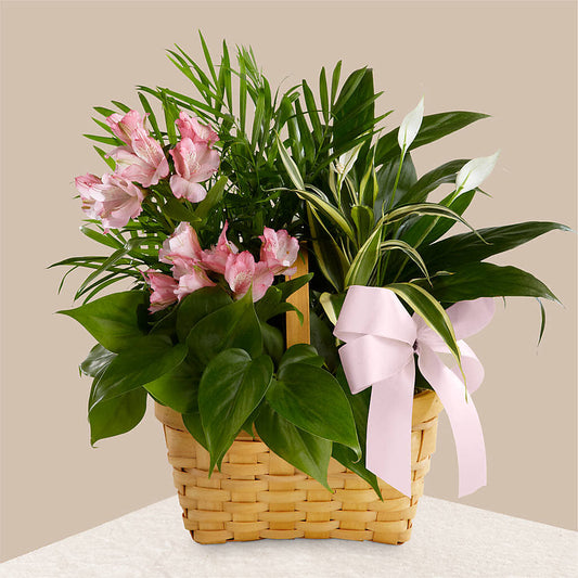 Living Spirit Dishgarden – CARLOS BLOOMS & EVENTS, Garnerville NY