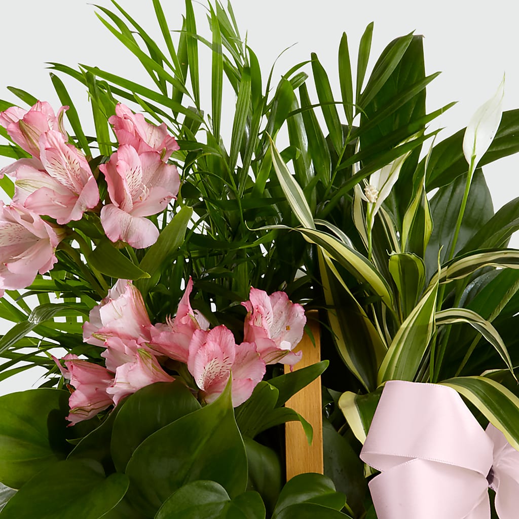 Living Spirit Dishgarden – CARLOS BLOOMS & EVENTS, Garnerville NY