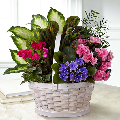 Peaceful Garden Planter – CARLOS BLOOMS & EVENTS, Garnerville NY