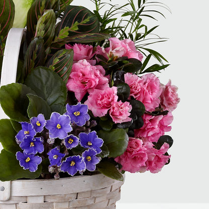 Peaceful Garden Planter – CARLOS BLOOMS & EVENTS, Garnerville NY
