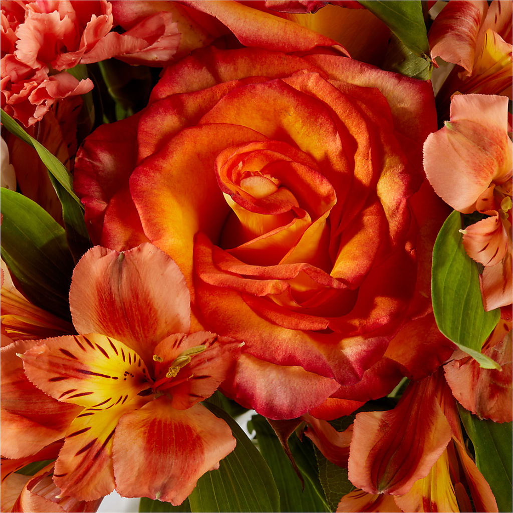 Apricot Glow Bouquet – CARLOS BLOOMS & EVENTS, Garnerville NY