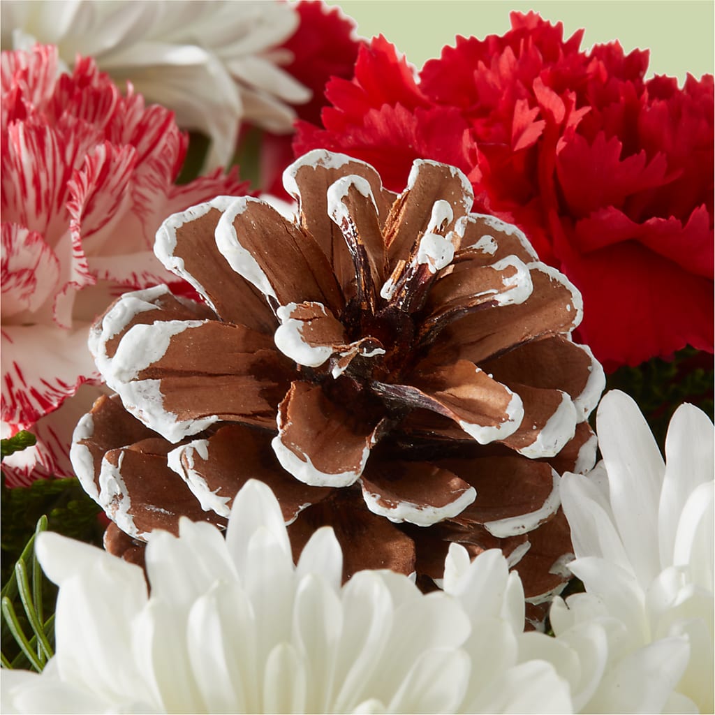 Candy Cane Lane Bouquet – CARLOS BLOOMS & EVENTS, Garnerville NY
