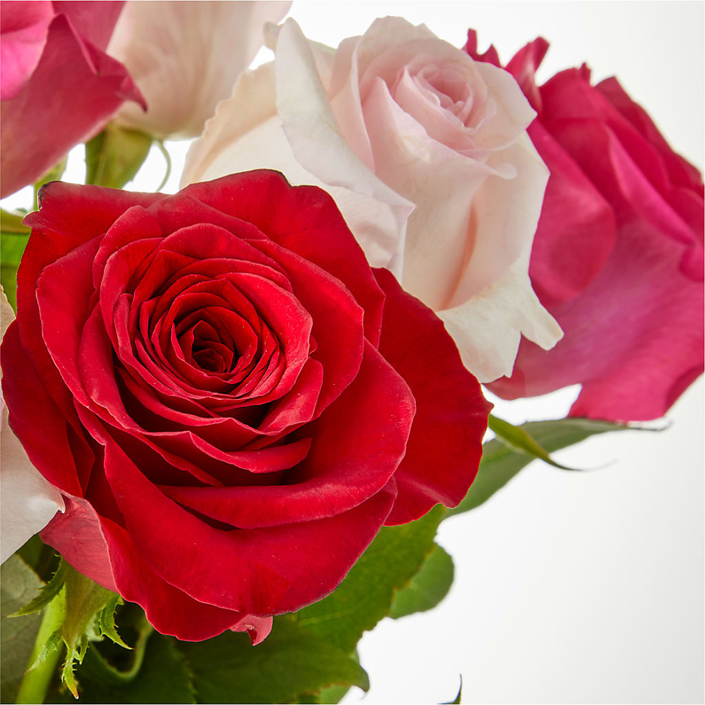 Charming Rose Bouquet – CARLOS BLOOMS & EVENTS, Garnerville NY