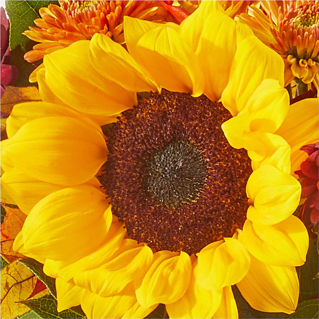 Sunny Side Bouquet – CARLOS BLOOMS & EVENTS, Garnerville NY