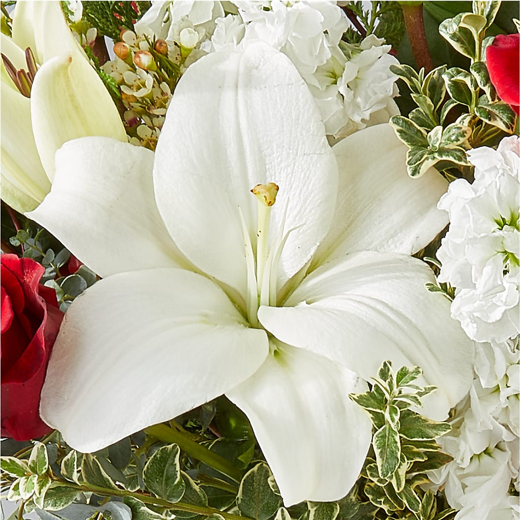 Twinkle Lights Bouquet – CARLOS BLOOMS & EVENTS, Garnerville NY