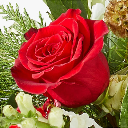 Deck the Halls Bouquet – CARLOS BLOOMS & EVENTS, Garnerville NY