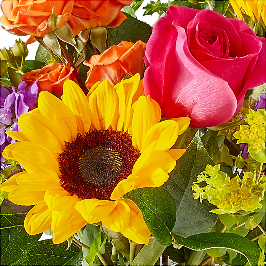 Vibrant Greetings Bouquet – CARLOS BLOOMS & EVENTS, Garnerville NY