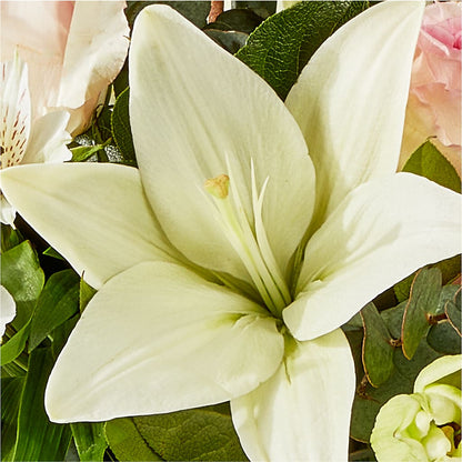 Ballet Slippers Bouquet – CARLOS BLOOMS & EVENTS, Garnerville NY