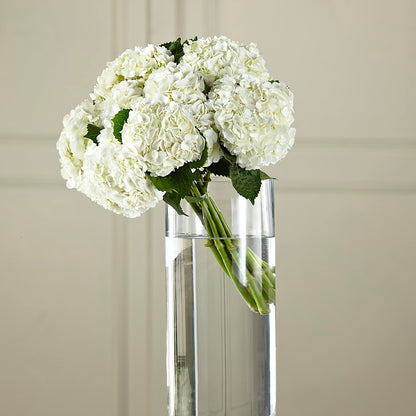White Hydrangea Hand-Tied Bouquet – CARLOS BLOOMS & EVENTS, Garnerville NY