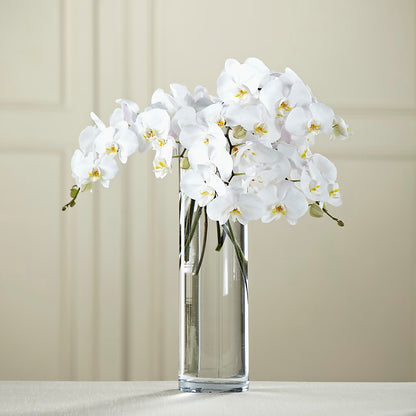 White Phalaenopsis Bouquet – CARLOS BLOOMS & EVENTS, Garnerville NY